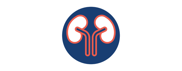 Phase 1/2 study of PS-002, a Gene Therapy for the Treatment of IgA Nephropathy