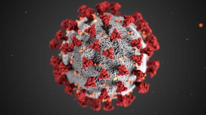Centers for Disease Control, USA, illustration of coronavirus Centers for Disease Control, USA, illustration of coronavirus