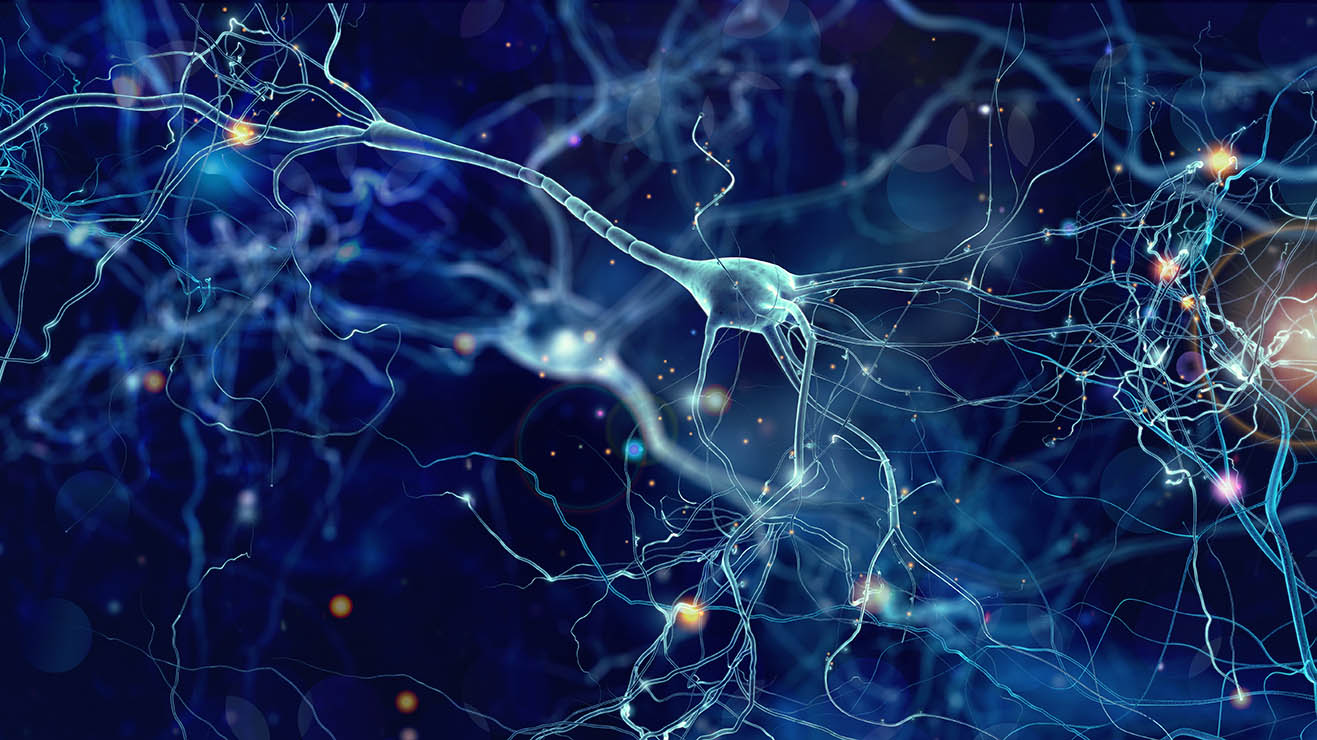 Untangling the brain complications of COVID-19 