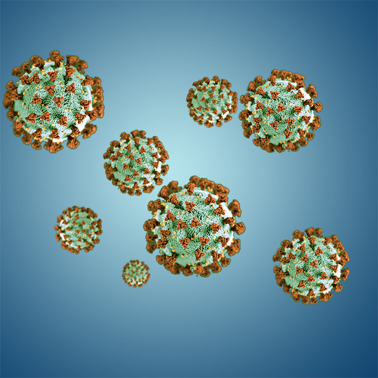 Coronavirus particles illustration derived from CDC image 2871