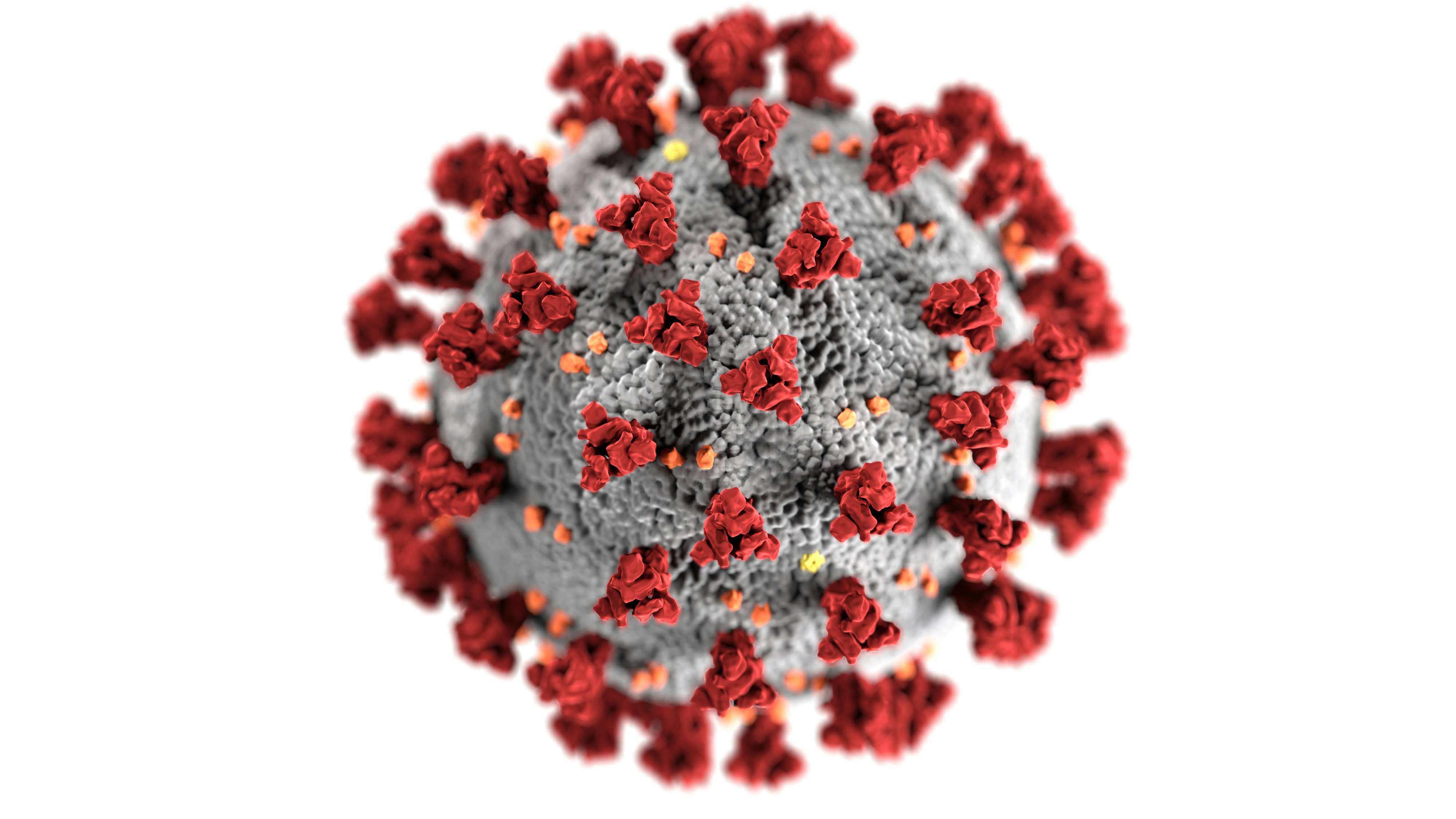 A graphical depiction of the COVID-19 disease