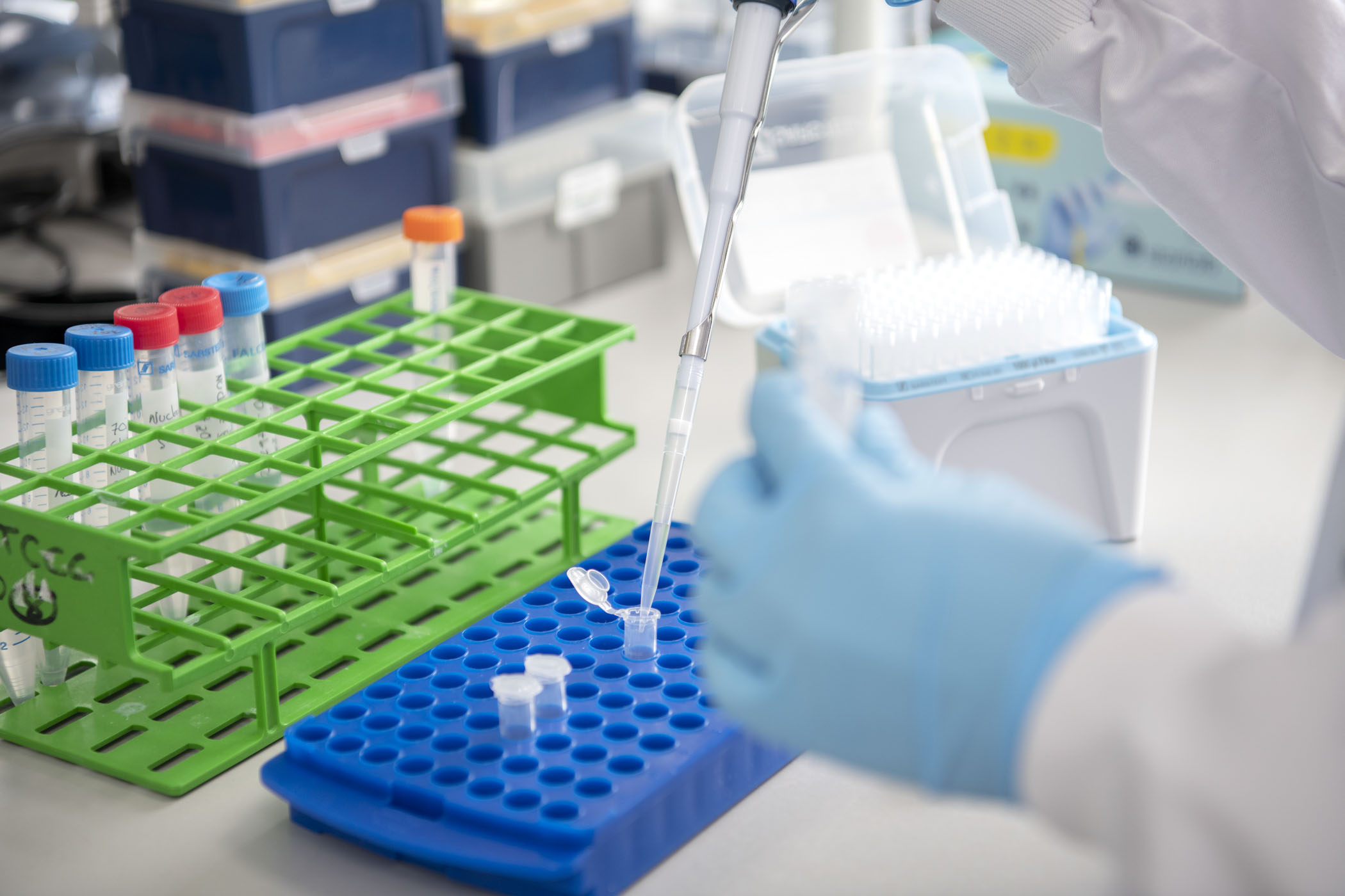 Hand filling sample pots on a blue tray using a pipette