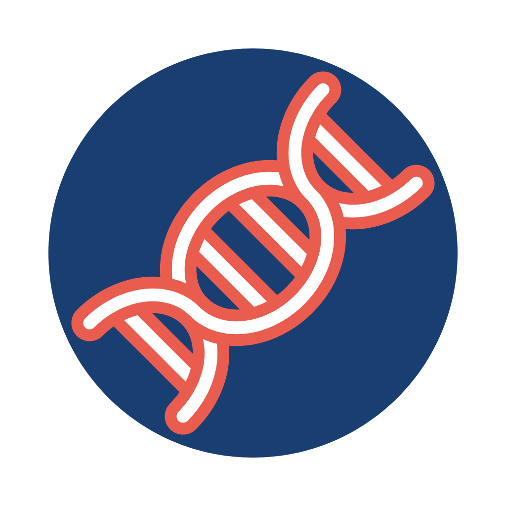 The link between genes causing age related macular degeneration and changes in the retina and vision