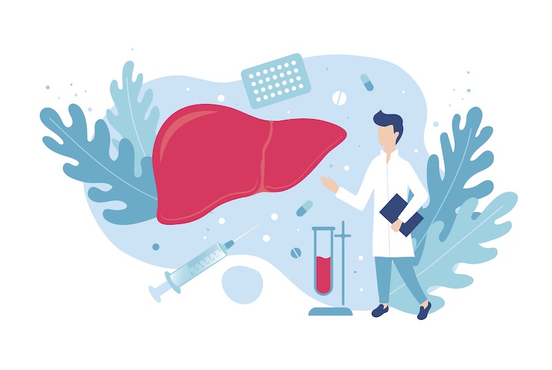 Graphic of researcher and liver to indicate research and health Graphic of researcher and liver to indicate research and health