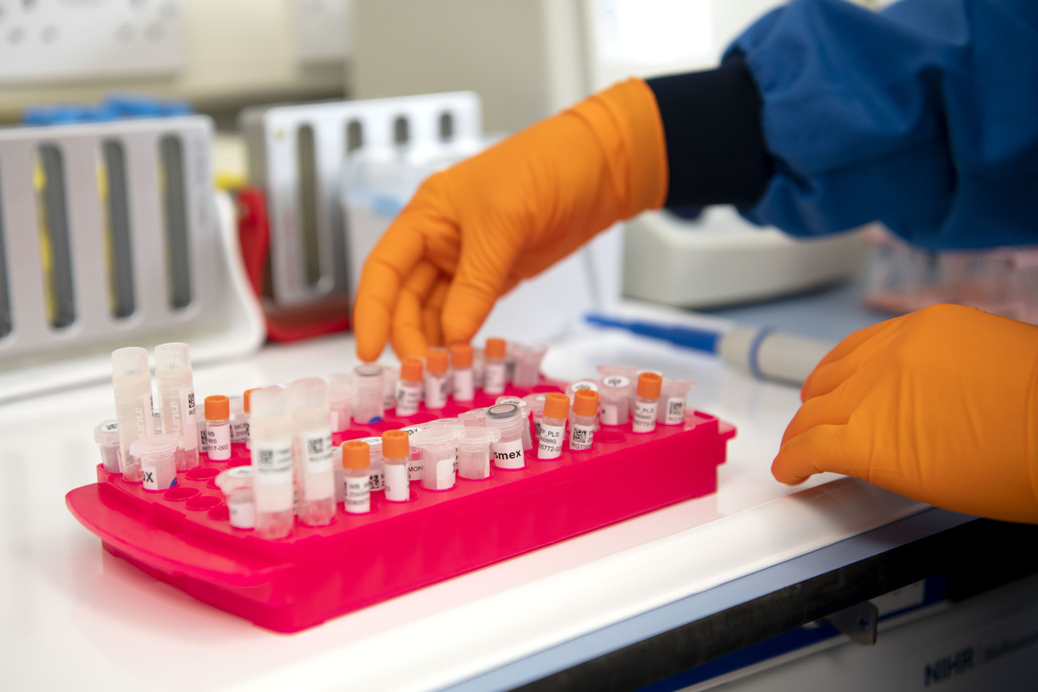 Recall and Samples | BioResource
