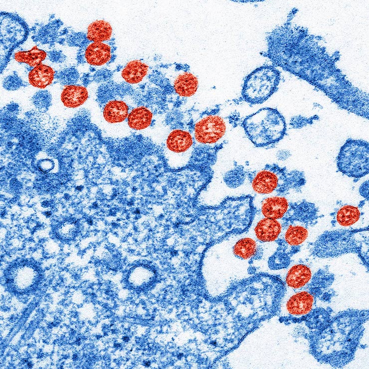 New partnership to sequence human genomes in the fight against coronavirus 