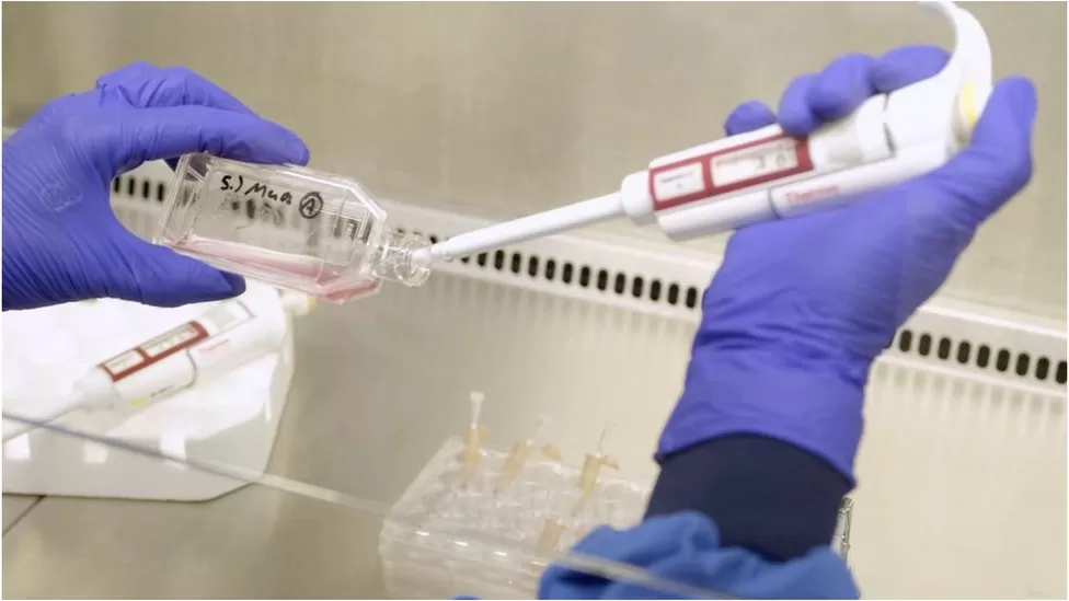 World first clinical trial laboratory grown red blood cells 