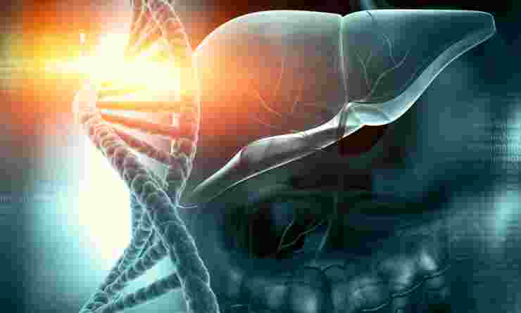 Graphic showing liver and enlarged DNA helix to illustrate genetics and liver disease