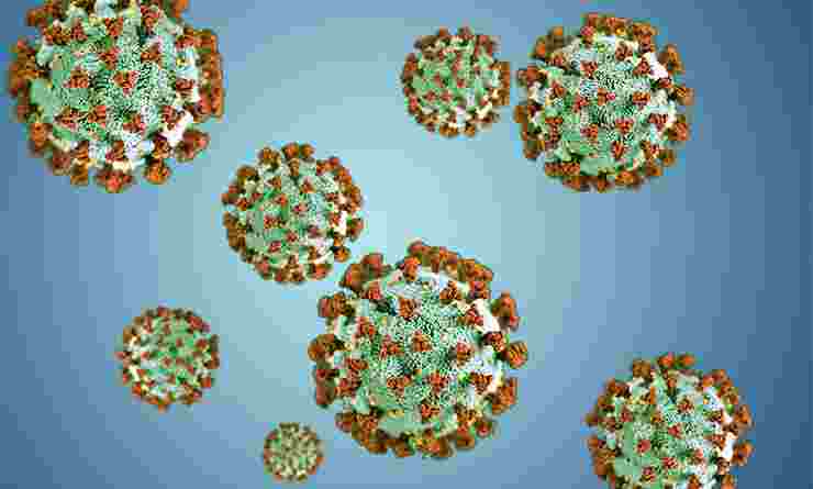 Coronavirus particles illustration derived from CDC image 2871