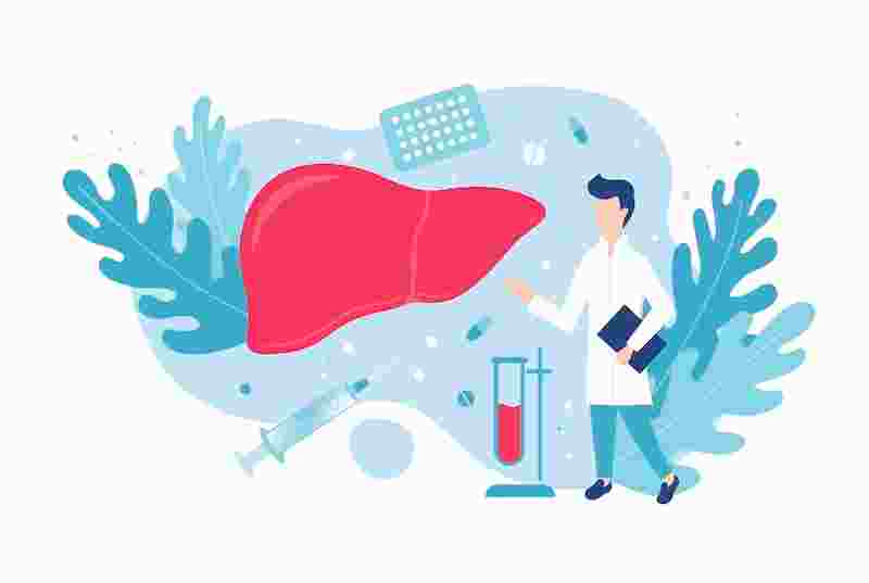 Graphic of researcher and liver to indicate research and health