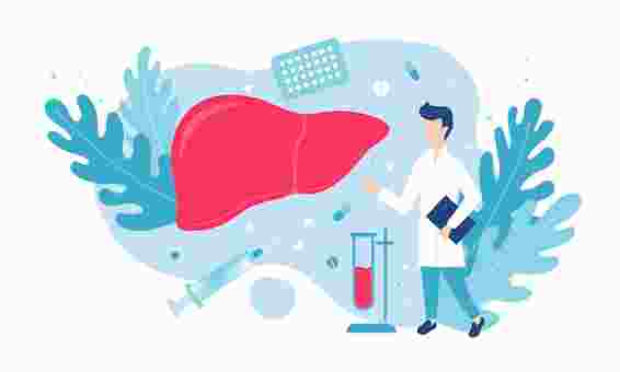 Graphic of doctor or scientist studying human liver