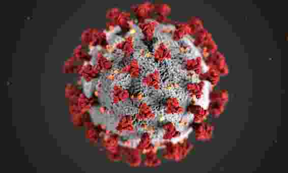 Centers for Disease Control, USA, illustration of coronavirus