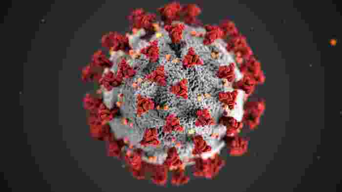 Centers for Disease Control, USA, illustration of coronavirus